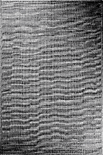 Antik 1808 Beyaz - Minimalist Tarzda Saf Beyaz Salon Halısı