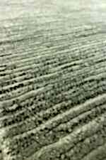 Mira 1612 Gri - Modern Dekorasyona Uygun Gri Halı Modeli - Görsel 2