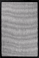 Nova 2007 Siyah - Siyah Çerçeveli Minimal Modern Halı