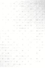 Roma 1309 Gri Beyaz - Aydınlık Alanlar İçin Geometrik Salon Halısı