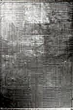 Sateen 6420 Beyaz - Minimal Kare Formlu Beyaz Halı