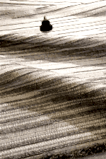 Vega 1457 Gri - Yuvarlak Gri Halı modern girişler için şık seçenek - Görsel 3