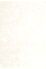 Akik 8610 Krem - Pamuk Tabanlı, Kolay Temizlenebilir Halı