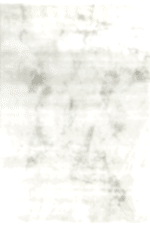 Akik 8618 Yeşil - Estetik Spor Saçaklı Akrilik Halı