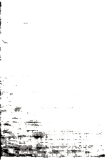 Eliza 4332 Beyaz - Zarif ve Pratik Oturma Odası Halısı