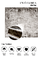 Florya 8102 Bej - Dayanıklı Antre ve Koridor Halısı - Görsel 2