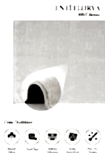 Florya 8105 Beyaz - Antialerjik Oturma Odası Halısı - Görsel 2