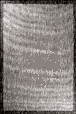 Nova 2003 Bej - Bej Renkli Modern Oturma Odası Halısı