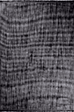 Piana 1105 Gri - Modern Gri Desenli Oturma Odası Halısı