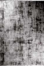 Nita 1208 Bej - Zarif Desenli Bej Renk Oturma Odası Halısı